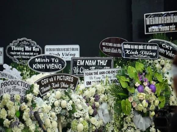 ca sĩ Huỳnh Vũ Thạch, nhóm Ve sầu