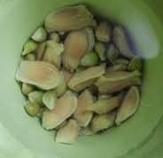 hạt chanh, chậu cây chanh, chậu cây từ hạt chanh, kiến thức 