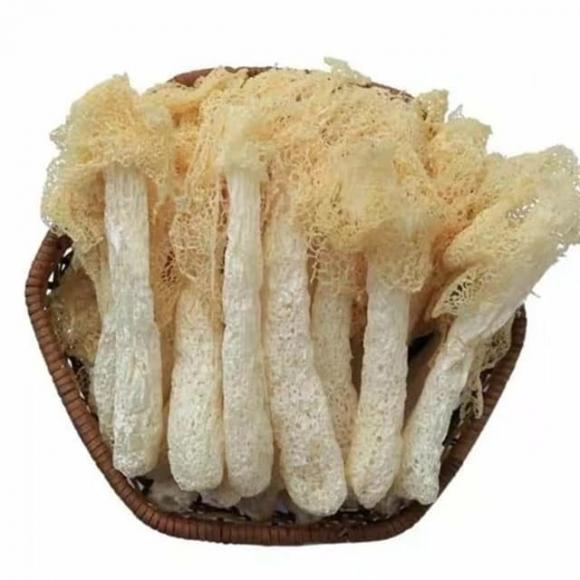 Loại nấm quý bậc nhất thế giới, loại nấm của việt nam, nấm tâm trúc, món ngon từ nấm