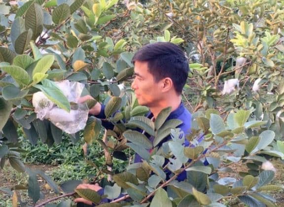 Lệ Rơi, Lệ Rơi chưa lấy vợ, cuộc sống Lệ Rơi, giới trẻ 