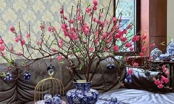 hoa đào, cách hãm hoa đào nở sớm, cách hãm hoa đào nở