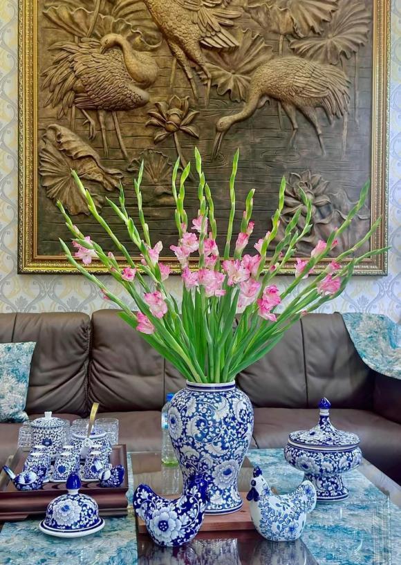 hoa lay ơn, cách chọn hoa hoa lay ơn, kiến thức 