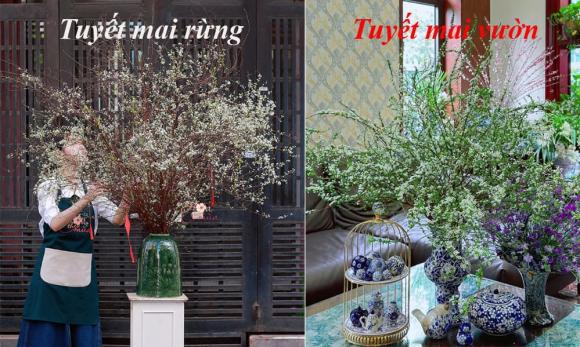  bảo hiểm xã hội, đóng  bảo hiểm xã hội, kiến thức 