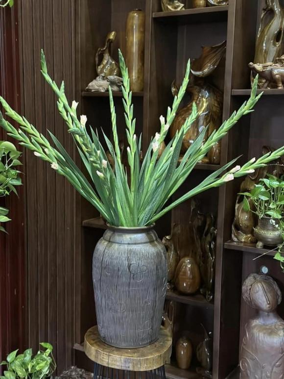 Hoa dơn, hoa lay ơn, phong thủy hoa dơn, mẹo cắm hoa dơn