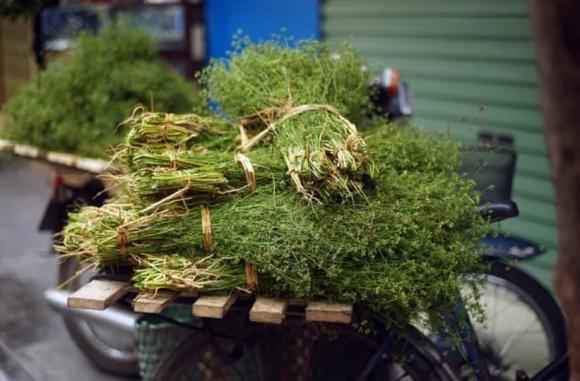 tắm nước lá mùi già, nước lá mùi già, lưu ý khi tắm nước lá mùi