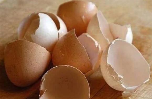 Vỏ trứng, ứng dụng của vỏ trứng, vỏ trứng trị dịch, mẹo dùng vỏ trứng