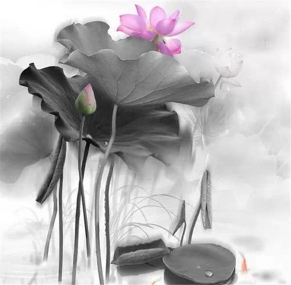 Nụ cười Đừng phàn nàn tha thứ đánh giá Loại tri ân Phần thưởng