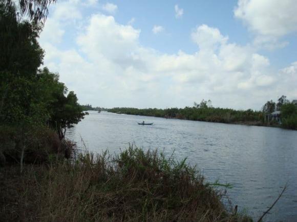 View - Ở Việt Nam có một dòng sông được xếp loại quý hiếm trên thế giới: Dài hơn 40km cắt đôi khu rừng 2.000 km2