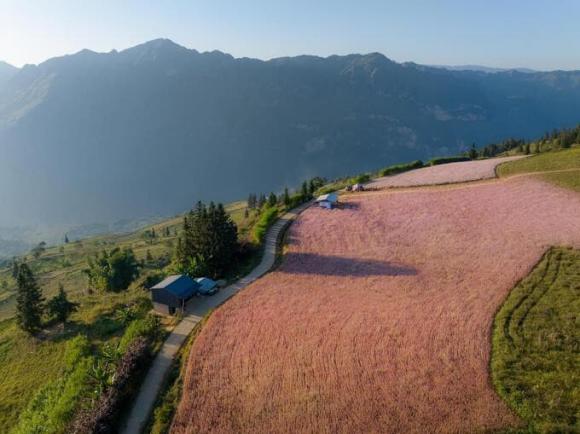 View - Thảo nguyên xanh mướt cách Hà Nội chừng 400km, rộng hàng trăm ha, được nhận xét là 'Thụy Sĩ thu nhỏ' của miền Bắc