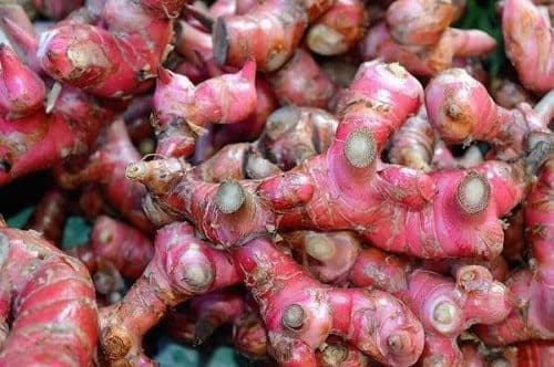xương khớp, rau tốt cho xương khớp, sức khỏe