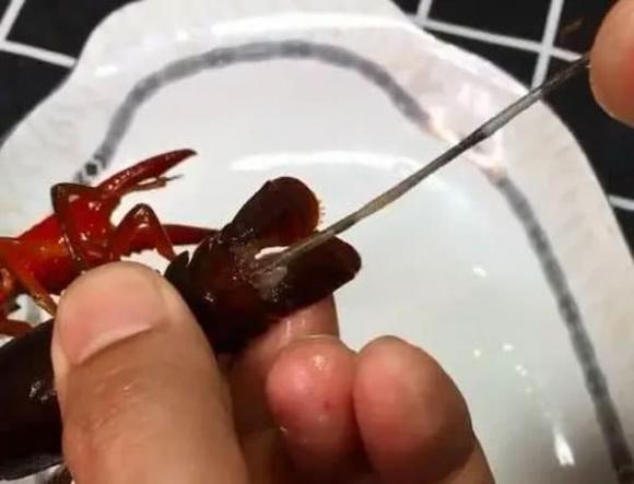tôm càng, tôm càng xanh, món ngon mỗi ngày