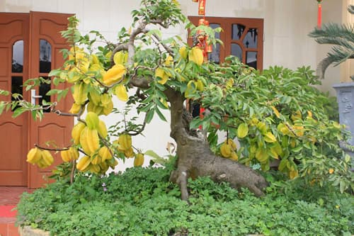 may mắn, chuyện dữ hóa lành, cuộc đời sang trang, kiến thức 