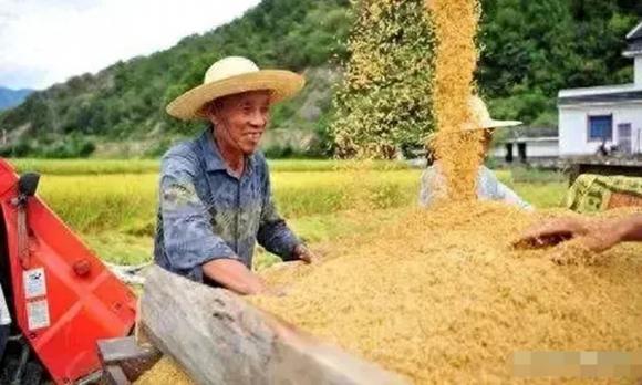 Giá cả 2024, thị trường 2024, sản phẩm tăng giá thời gian tới
