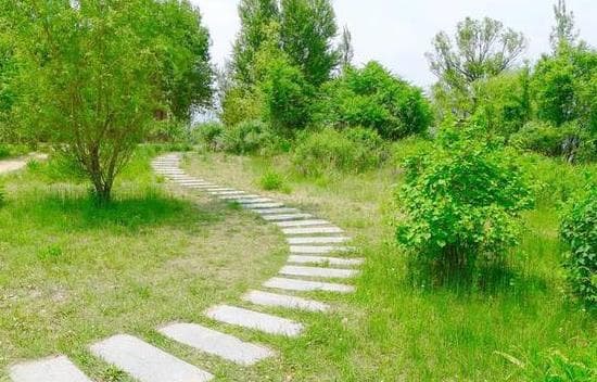 Trắc nghiệm tâm lý, test