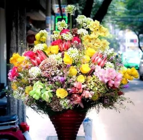 Ngày 8/3, quốc tế phụ nữ, hoa cho ngày 8/3