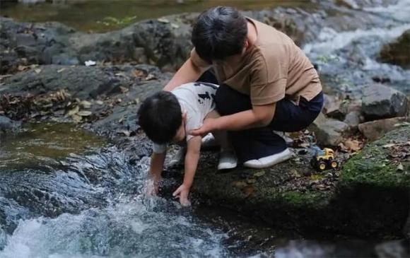 trái đất, tiến hoá, Cua móng ngựa