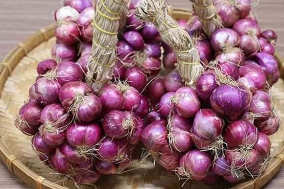 hành khô, bảo quản hành khô, kiến thức 
