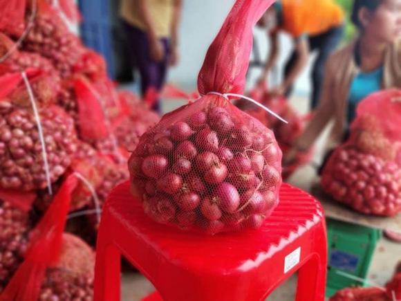 hành khô, bảo quản hành khô, kiến thức 