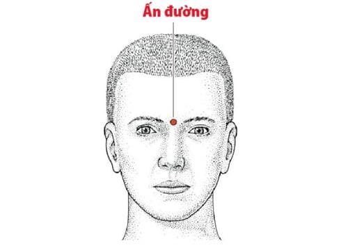 tướng phát tài, tướng giàu, kiến thức 