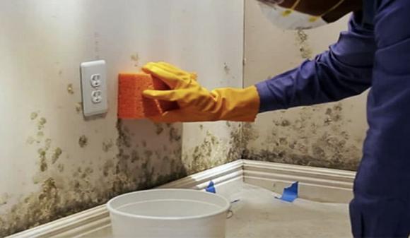 tường bị ẩm, tường bị mốc, kiến thức 