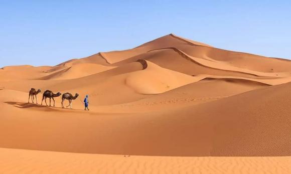 sa mạc, Sa mạc Sahara