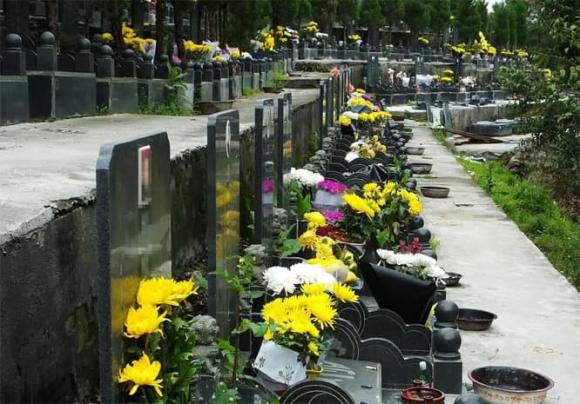 tảo mộ, lễ thanh minh, viếng mộ