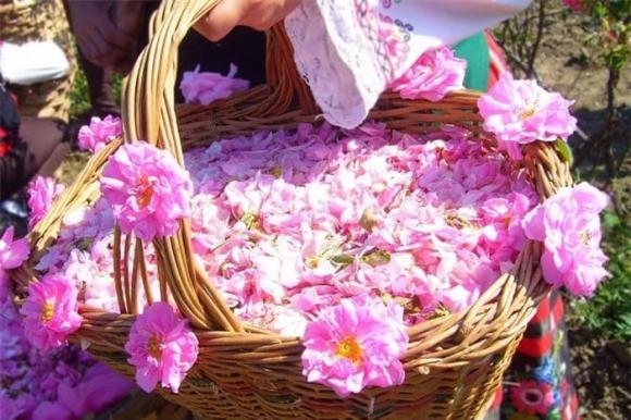 Nước hoa, nguyên liệu sản xuất nước hoa, cách sản xuất nước hoa