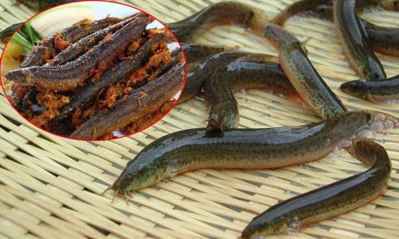 Cá, món ngon từ cá, mẹo khử mùi tanh của cá, cách chế biến cá