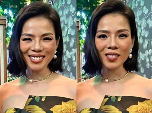 ca sĩ Lệ Quyên, sao Việt