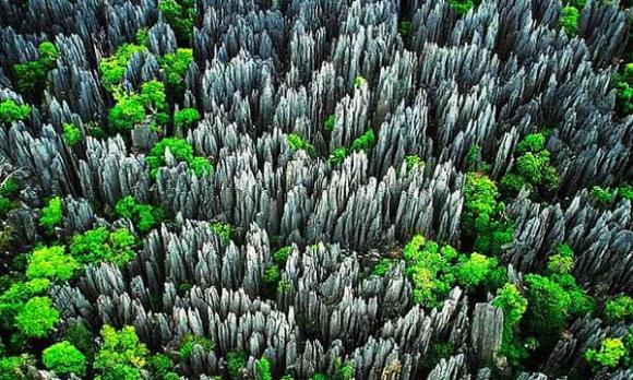 Tsingy, Rừng đá Bemaraha 