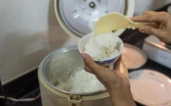 phích cắm, tiền điện, thiết bị điện, tiết kiệm điện