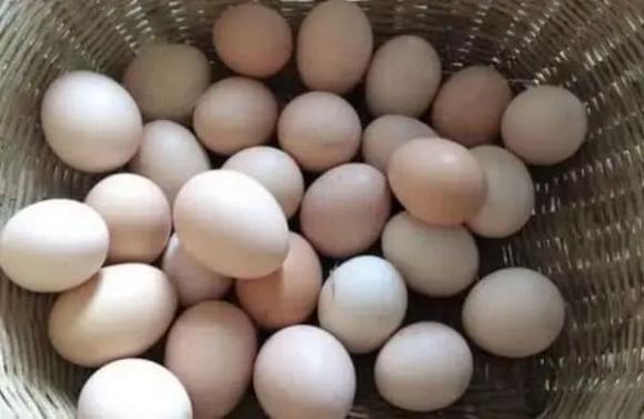 trứng, bảo quản trứng, mẹo vặt gia đình