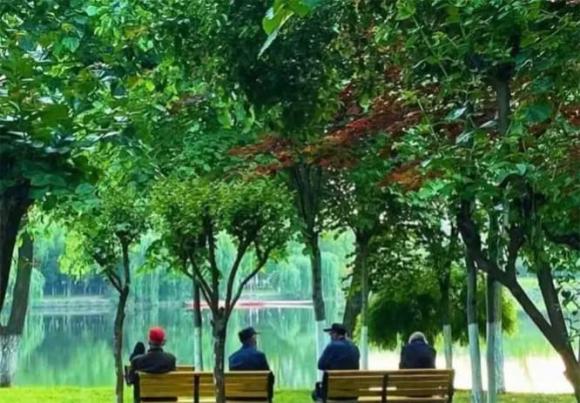 thói quen xấu, con cái, năm cuối đời