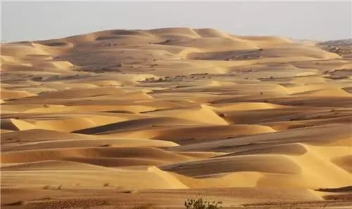 sa mạc, cát, 