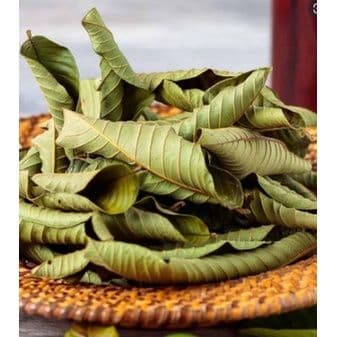 lá phơi khô, lá ổi phơi khô, lá uống nước, kiến thức 