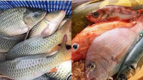 Cá, món ngon từ cá, mẹo khử mùi tanh của cá, cách chế biến cá