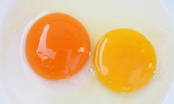 Trứng gà, lòng đỏ trứng gà, tác dụng của lòng đỏ trứng gà