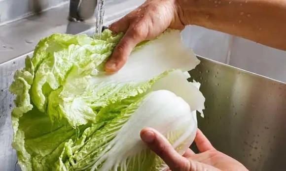 Cải thảo, mẹo chọn cải thảo ngon, cách nhận biết 2 loại cải thảo
