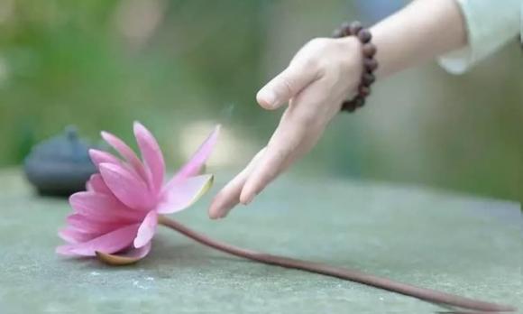 cuộc đời, biến số, biến số trong cuộc đời