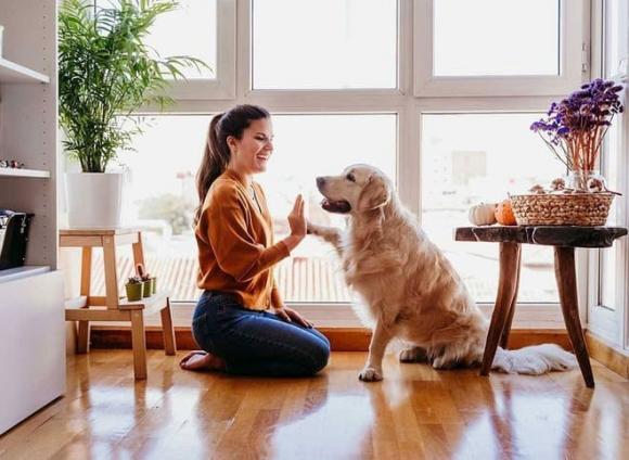 nuôi chó, phụ nữ nuôi chó, nuôi chó đực, kiến thức 