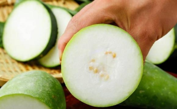 bí đạo, chọn mua, chọn mua bí đao, bí đao vỏ xanh đậm, quả bí đao