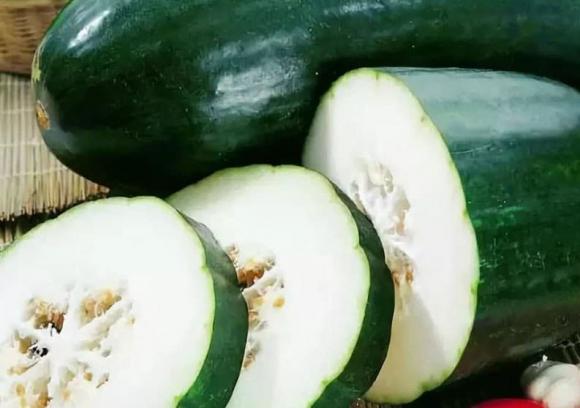 bí đạo, chọn mua, chọn mua bí đao, bí đao vỏ xanh đậm, quả bí đao