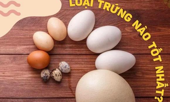 trứng ngỗng, tại sao ít người ăn trứng ngỗng, lưu ý khi ăn trứng ngỗng