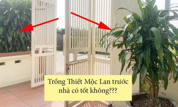 đất vườn, chuyển đất vườn, đất vườn sang đất ở, kiến thức 