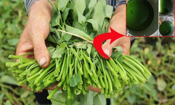 cá chua, kinh nghiệm đi chợ, mẹo chọn hoa quả, cá chua 5 lá và 6 lá