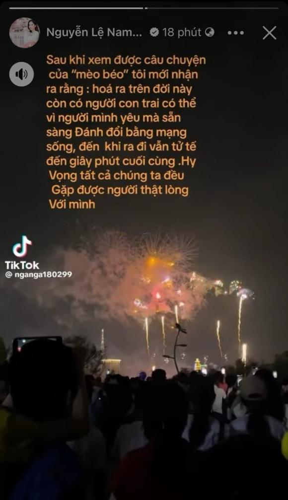 nam em, sao việt