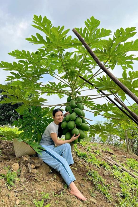 Ca sĩ phạm phương thảo, nsnd phạm phương thảo, ca sĩ trẻ nhất được phong tặng nsnd, sao việt