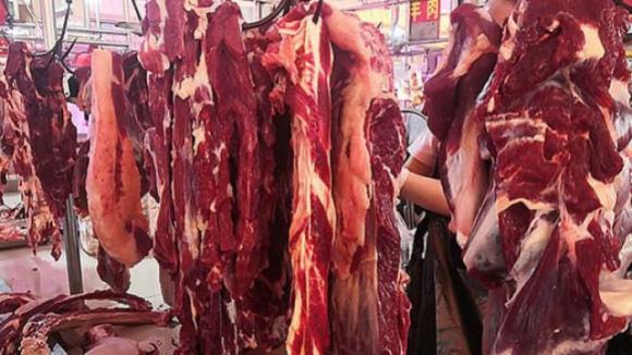 thịt bò, bò nhập ngoại, bò ta, bít tết