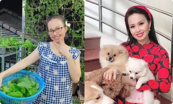 ca sĩ Cẩm Ly, nhạc sĩ Minh Vy, sao Việt