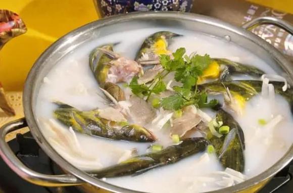 cá bò vàng